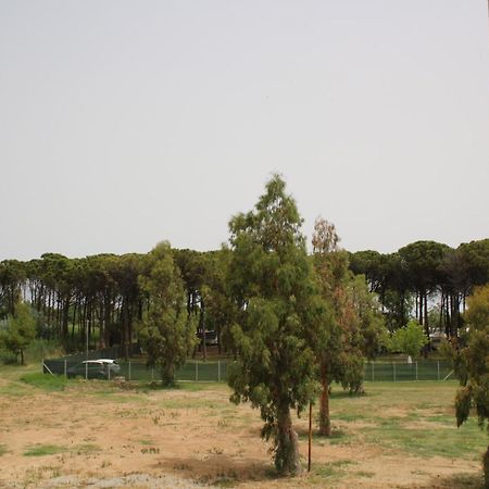 Levante Marina di Schiavonea Bagian luar foto