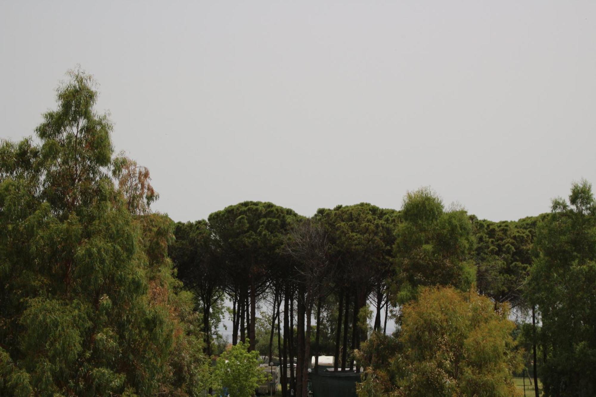 Levante Marina di Schiavonea Bagian luar foto