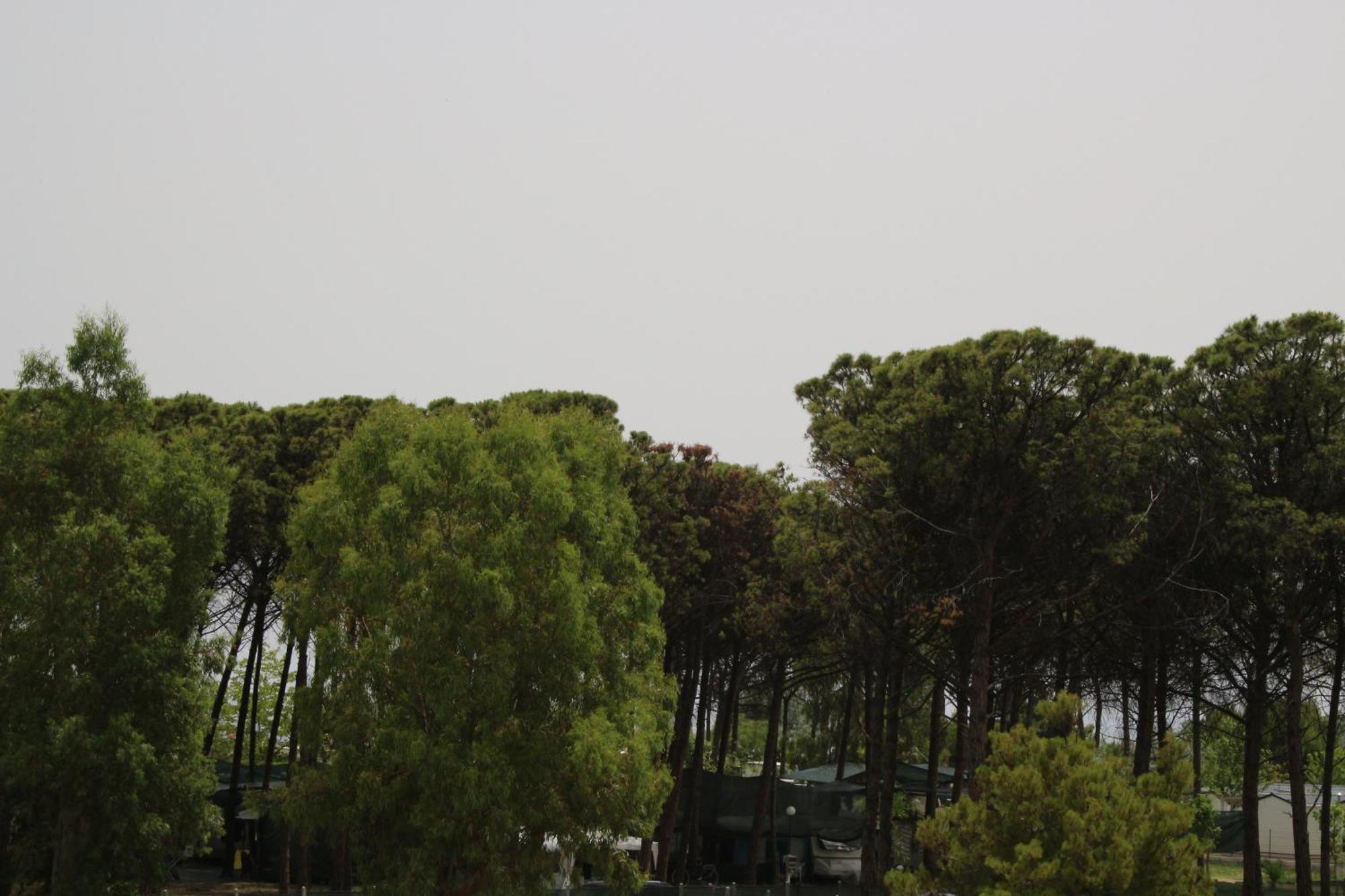 Levante Marina di Schiavonea Bagian luar foto